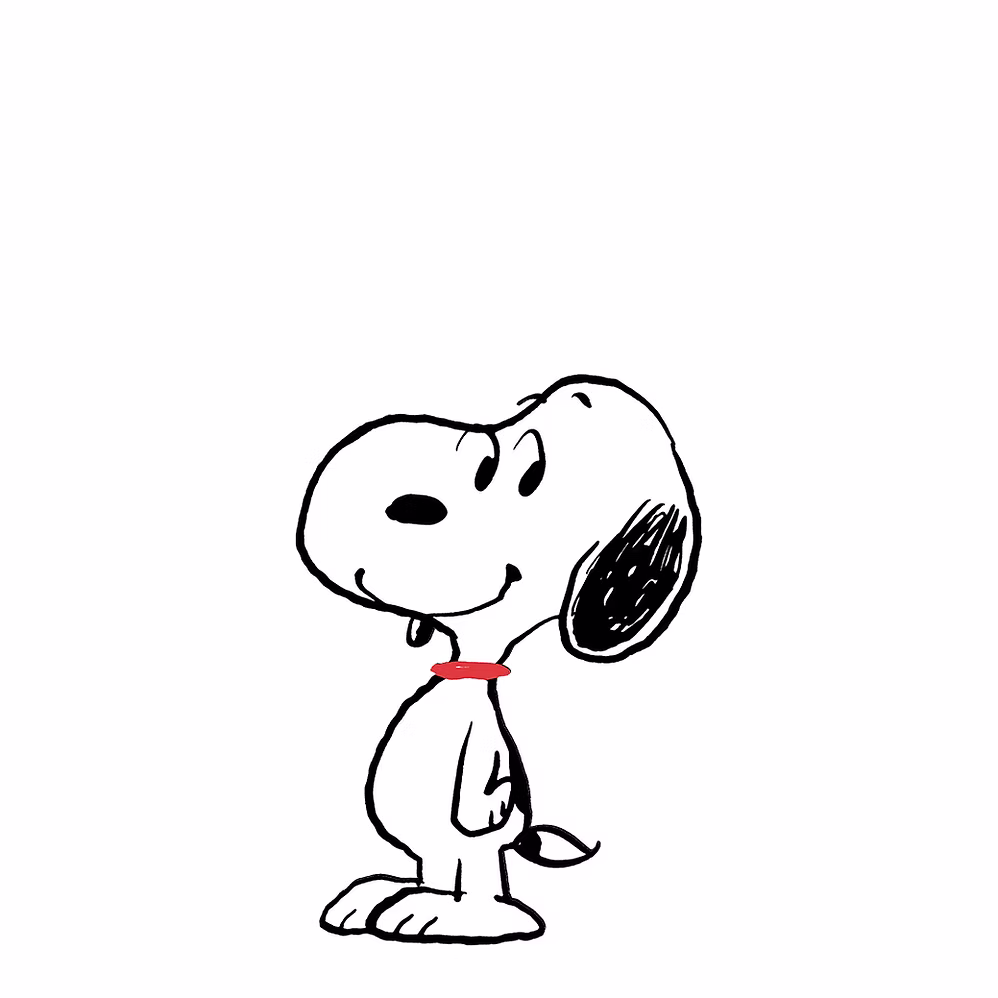 史努比 · 黑白小猎犬与红色项圈